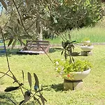 Casa vacanze Adamasseria Collecorvino