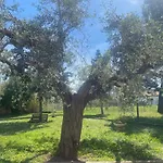 Casa vacanze Adamasseria *
