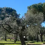 Casa vacanze Adamasseria