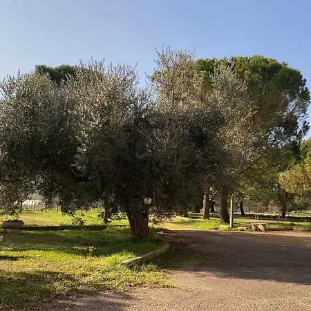 Adamasseria Casa de Férias *