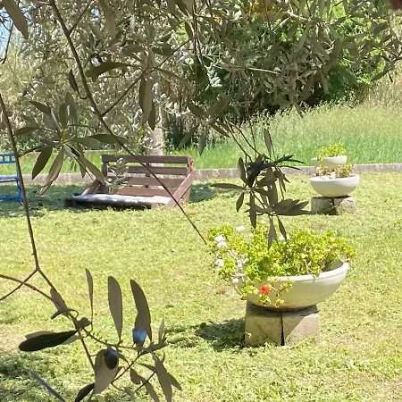 Casa de Férias Adamasseria Collecorvino