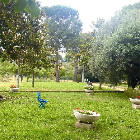 Adamasseria Collecorvino