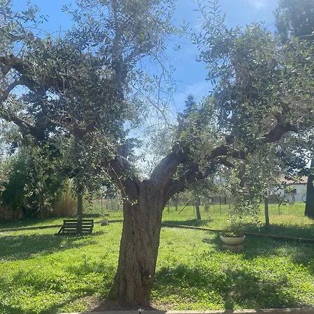 Сasa de vacaciones Adamasseria *