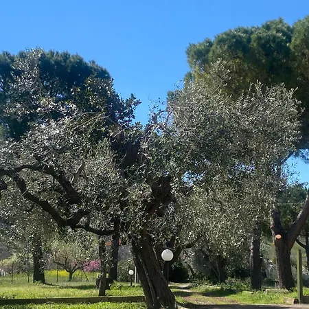 Tatil Evi Adamasseria