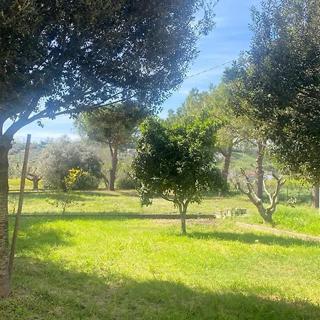 Adamasseria Сasa de vacaciones Collecorvino