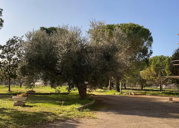 Adamasseria Σπίτι διακοπών *