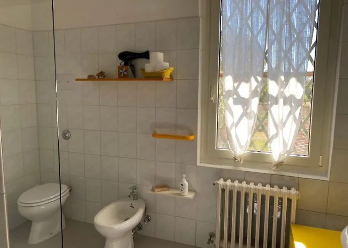 Adamasseria * Collecorvino