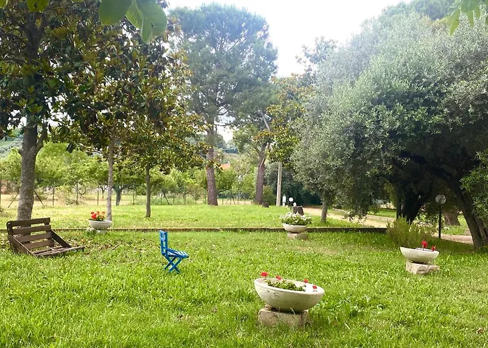 Adamasseria Collecorvino