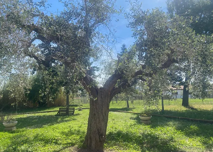 Σπίτι διακοπών Adamasseria *