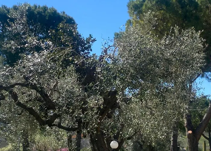 Σπίτι διακοπών Adamasseria