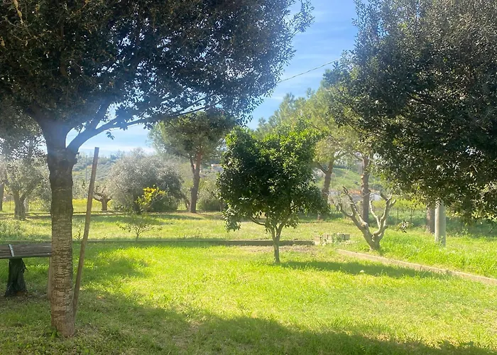 Adamasseria Σπίτι διακοπών Collecorvino