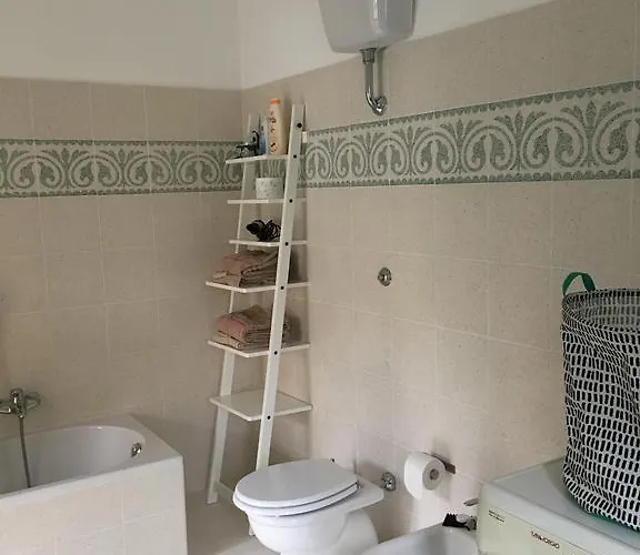 Adamasseria Collecorvino