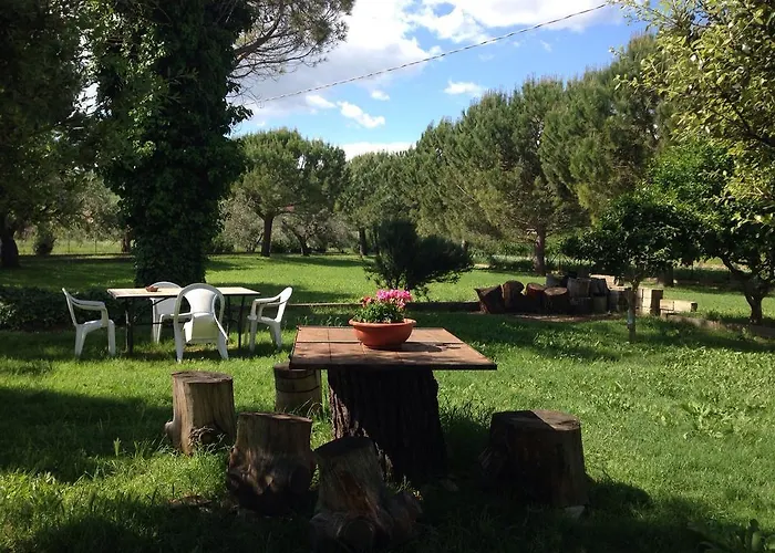 Adamasseria * Collecorvino