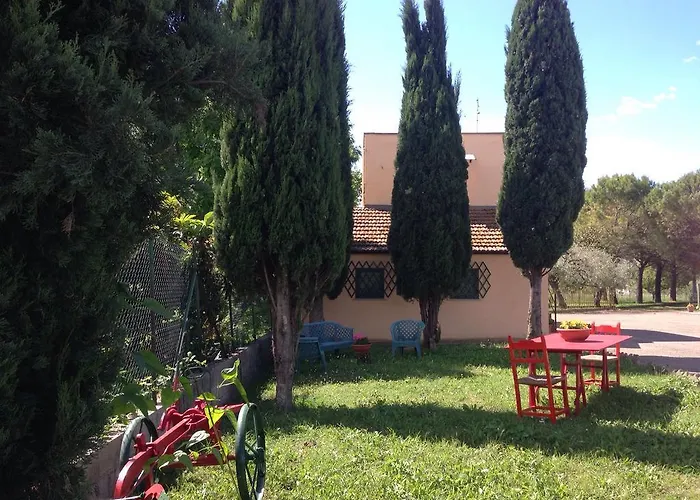 Adamasseria Collecorvino